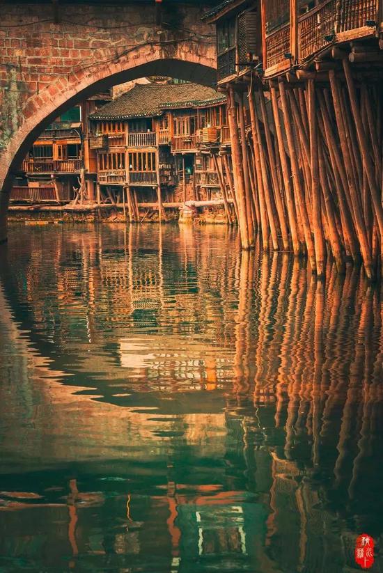 ©图虫:清水萝卜