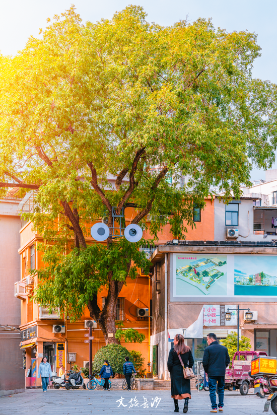 让我看看新世界