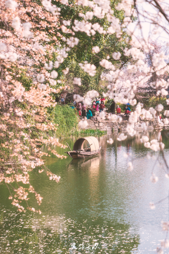 春天时的望月公园