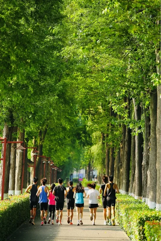 长沙这五条“神仙”城市跑道，各藏惊喜