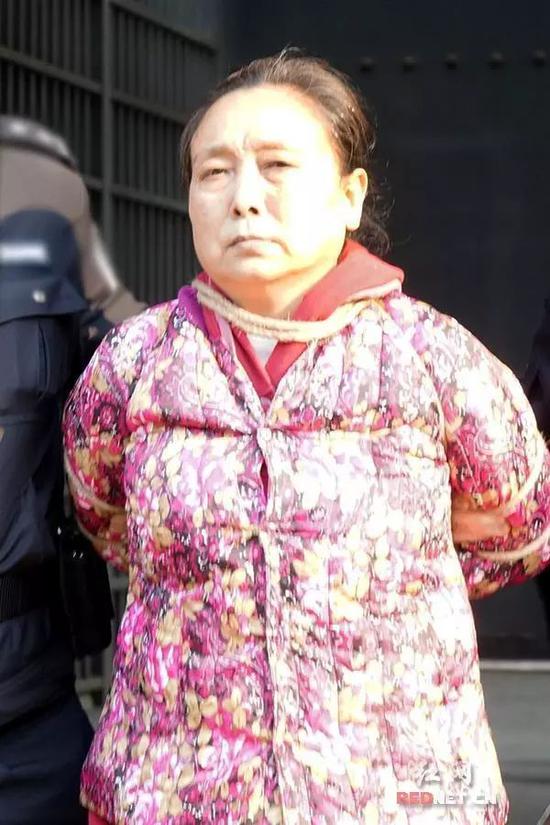 图自红网