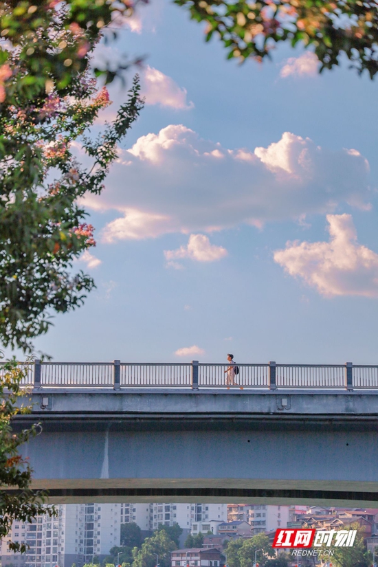 一名男子从澧水大桥上走过，头顶的白云似乎离他很近。