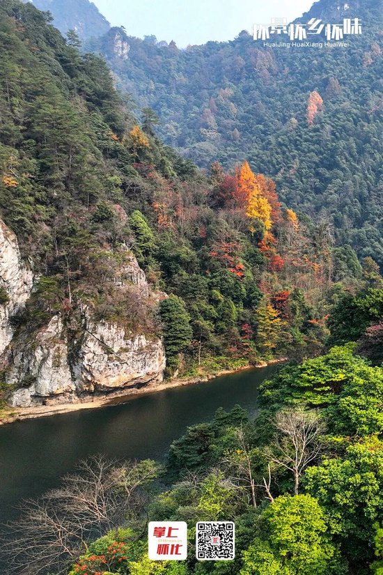 ▲12月4日,洪江市龙船塘瑶族乡玉龙湖·岩鹰洞大峡谷层林尽染、色彩斑斓,一湖碧水与山间红叶相映成趣,构成一幅冬日生态画卷。岩鹰洞大峡谷全长4.8公里,集险、瀑、幽、奇、秀于一体,被誉为“怀化的张家界”。(杨锡建 易玮 摄)