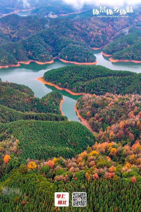 ▲12月6日,玉带河国家湿地公园通道晒口水库段,成片的红枫、乌桕等树木色彩斑斓,美不胜收。(李尚引 摄)