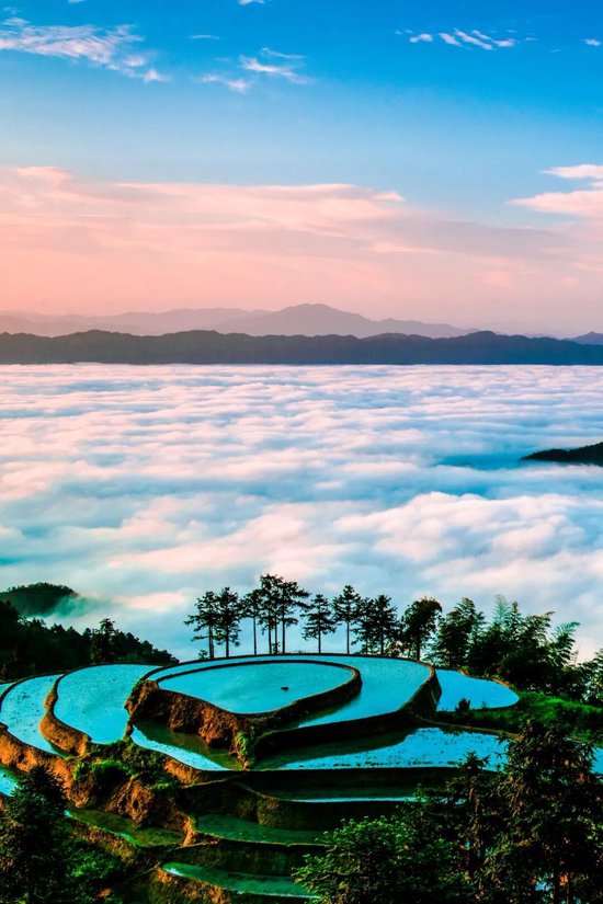 紫鹊界梯田。图/紫鹊界梯田-梅山龙宫风景名胜区管理处