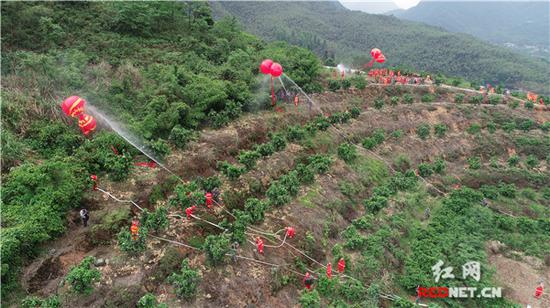 模拟苏仙区观山洞村发生山火,民兵开展灭火行动。(江文辉 摄)
