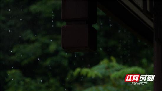 今晨怀化下了小雨。吴三东 摄