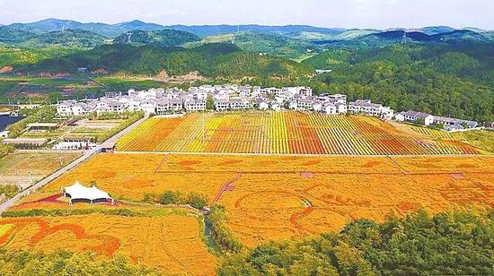郴州市北湖区三合村国家3A级景区。图|周峰