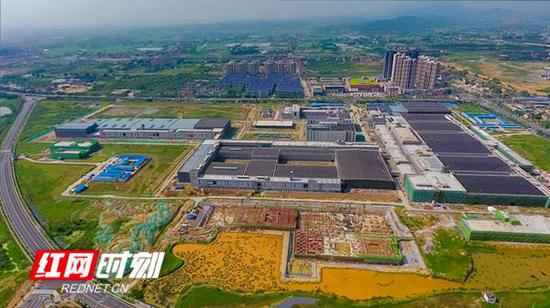 常德持续优化进营商环境,产业发展越来越稳健。