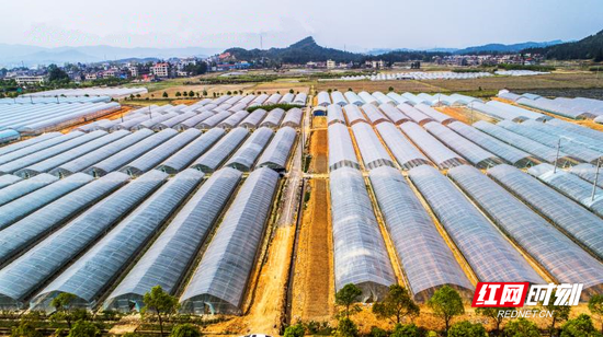 汝城县大坪镇设施蔬菜基地。
