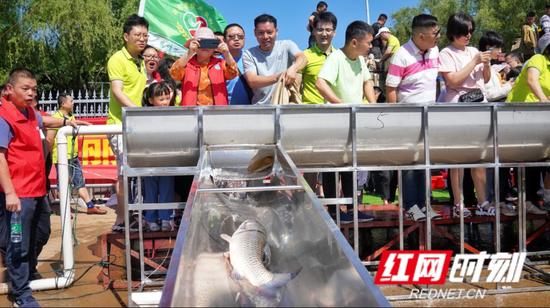 社会各界群众一道放鱼湘江。