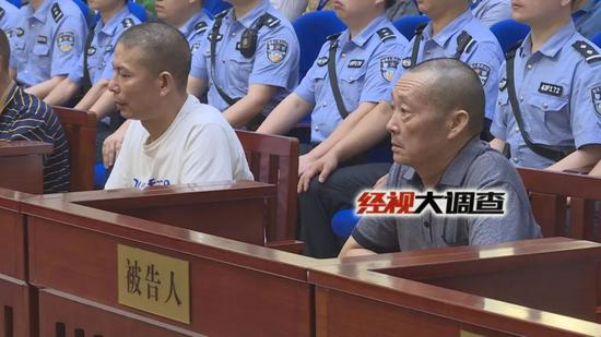 ...大非法猎杀 小天鹅 案庭审 14人团伙覆灭图片 33898 550x309