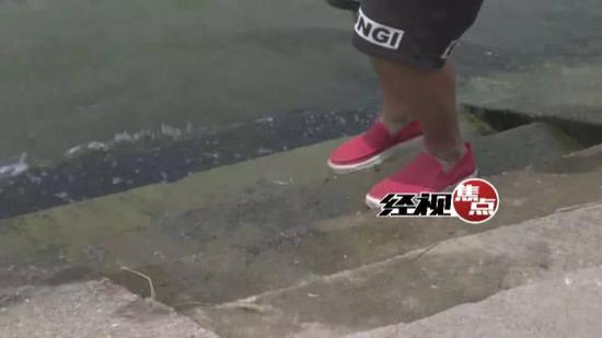 目击者: