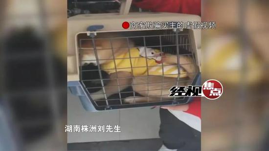 次日,刘先生非但没有收到宠物狗,对方还反而提出新要求。