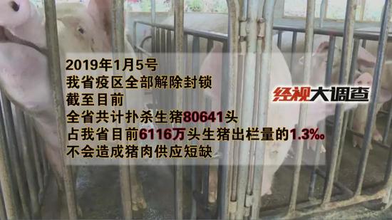 经视大调查独家发布：湖南防控“非洲猪瘟”始末