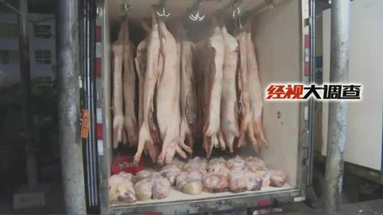 经视大调查独家发布：湖南防控“非洲猪瘟”始末