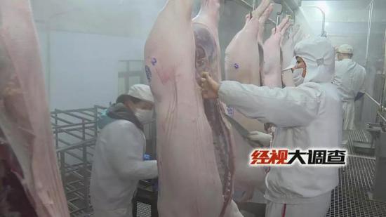 经视大调查独家发布：湖南防控“非洲猪瘟”始末