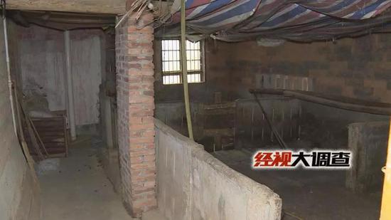 经视大调查独家发布：湖南防控“非洲猪瘟”始末