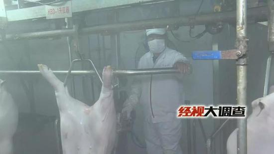 经视大调查独家发布：湖南防控“非洲猪瘟”始末