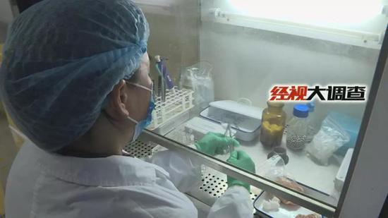 经视大调查独家发布：湖南防控“非洲猪瘟”始末