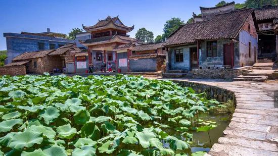 图|靓大水牛