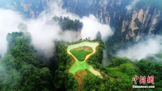 空中田园。邓道理摄