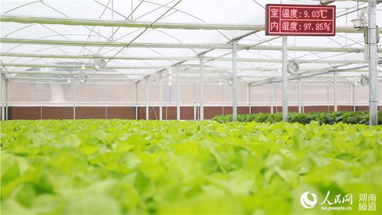 通过智慧农业,能敏锐感知种植环境。人民网 李芳森