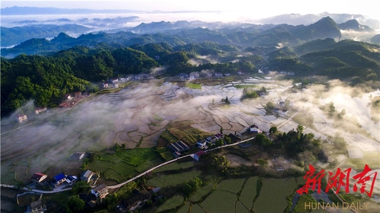 （桃源夷望溪，晨雾笼罩村居和农田，勾勒一幅田园栖居美景。桃源县全域旅游发展中心供图）