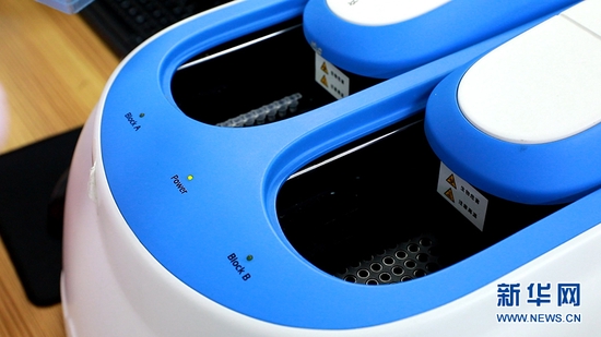 PCR（聚合酶链式反应）扩增