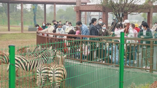 “五一”小长假，省内游客打卡湖南汉寿同发野生动物世界