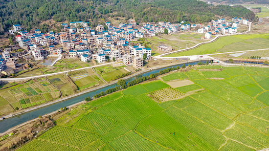 ▲ 永州市新田县东升农场供粤港澳蔬菜基地。(钟伟锋 摄)