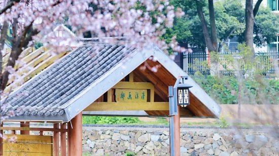 春天的清溪村。图/益阳市清溪文学村事务中心