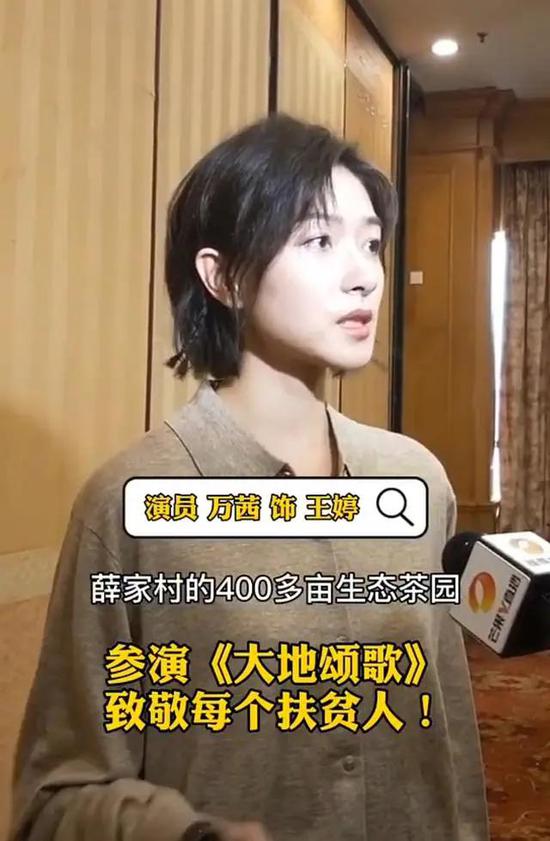 王婷有一个梦,就是要把薛家村400多亩生态茶园变成村民的绿色银行.