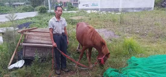 邬先生见爱马失而复得，当场高兴地流下眼泪，同时对村民肖根桥也深表感谢。