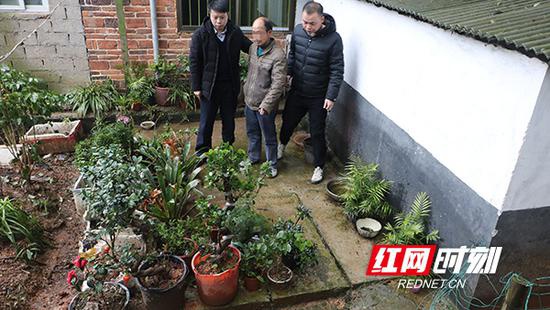 被告人文某因贪图小利,多次顺手牵羊偷拿店家摆放在店门口的盆栽,被以盗窃罪提起公诉。