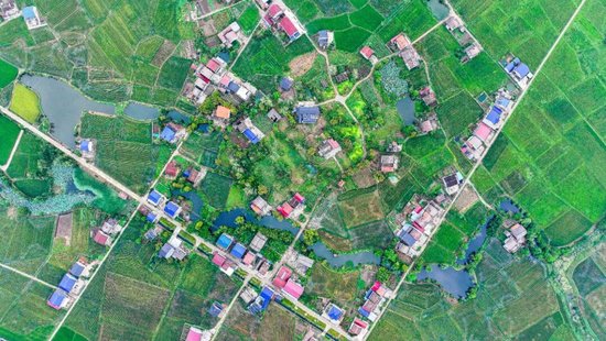 彭头山遗址。图/钱烨
