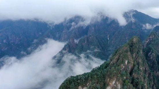 莽山国家森林公园。图/邓加亮