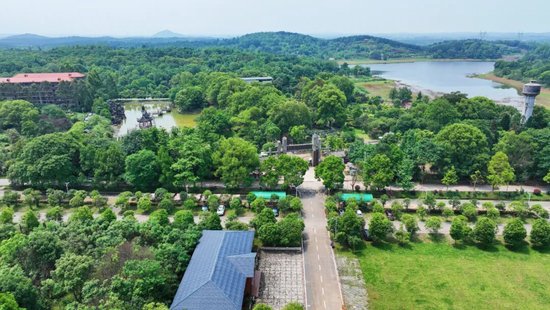 永州森林植物园。