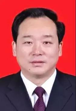 副市长陈中