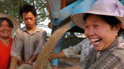 河南省汤阴县宜沟镇农民张爱青（右一）和家人一起在田间收获小麦。