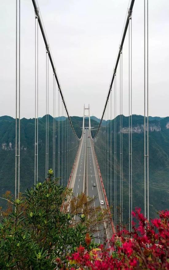 ©图虫:凝固之眼