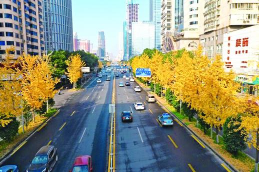 连续12年获得“中国最具幸福感城市”称号 长沙凭的是什么？