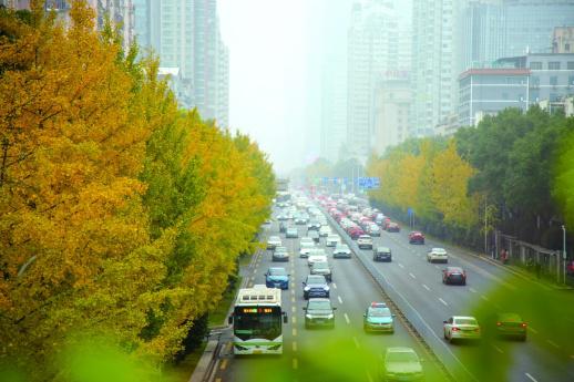 12月7日，大雪节气将至。天气变冷，湖南的冬意愈浓。记者王珏何佳洁摄