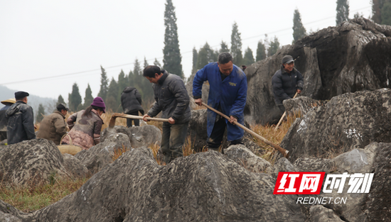 邵阳隆回：千把锄头闹“春造”