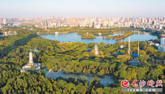 烈士公园放眼望去一片绿色,成为城中心的一块绿肺。 (邹麟 摄)