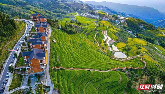 溆浦山背花瑶梯田