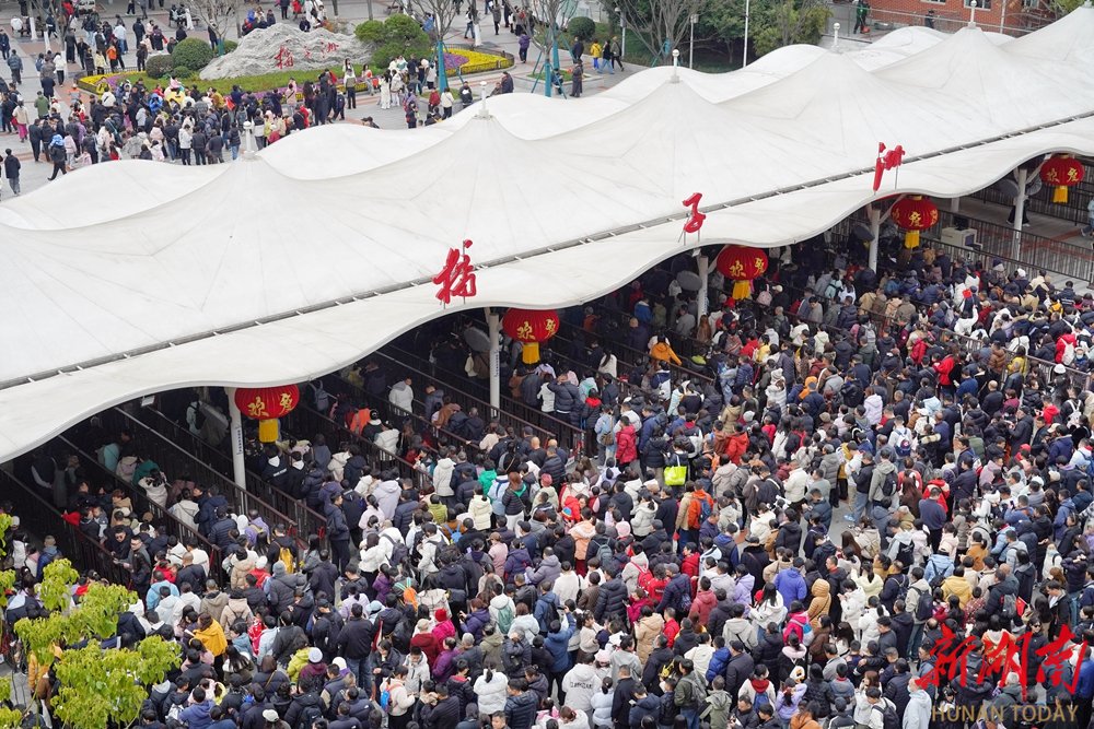 　　春节假期橘子洲景区人气旺。湖南日报全媒体记者 徐行 摄