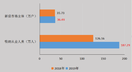 2018年、2019年上半年新设市场主体、吸纳从业人员情况。