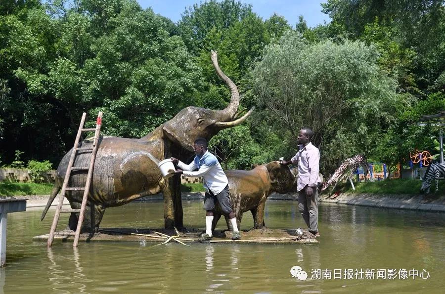 6月15日，Brain（布莱恩）（右）和Blessious（贝莱斯）（左）在给“大象”洗澡。文化园里有个动物园，里面有非洲艺术家创作的十余种非洲代表性动物的雕塑作品。