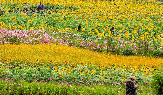 快讯丨2020年1月1日起 湖南省植物园正式免费开放
